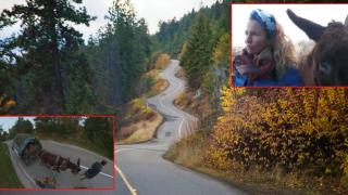 Семейство тръгва от Франция към Палестина с магаре, но го оставят у нас (видео)