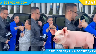 Софи захранва Преслава и Константин с прасе (видео)