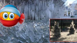 Пръскачки посред зима сковаха в лед центъра на Русе (снимки и видео)