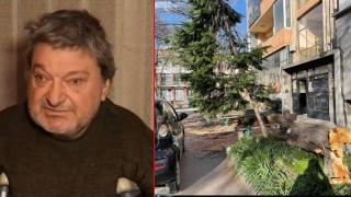 Пловдивчанин осъди общината, след като дърво едва не го уби (видео)