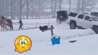 Силният снеговалеж в САЩ доведе до нетипични помощни методи (видео)