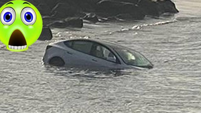 Tesla реши да поплува в ледени води, шофьор и пътник се измъкнаха невредими (видео)