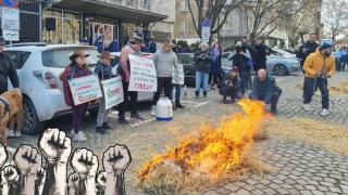 Над 20 организации излязоха на протест пред Министерството на земеделието (видео)