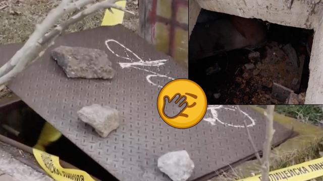 Малтретираното 5-годишно момче от Пловдив вече е в Германия с баща си