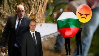 Човек на Борисов пази секачи бракониери, твърди разследване (видео)