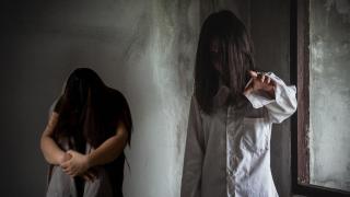 Българин е в основата на групата, изнасилвала 12-годишно момиче в Австрия