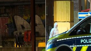 13-годишно българче е заподозряно за жестоко убийство в Германия (видео)