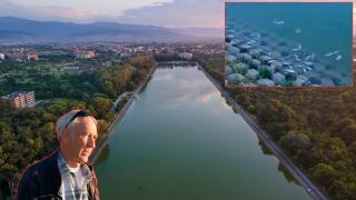 Стотици мъртви риби изплуваха на Гребната база в Пловдив (видео)