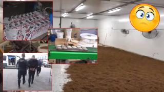 "Прославихме" се в Испания - разбиха български фабрики за контрабандни цигари (видео)
