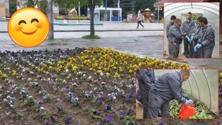 Ученици от Кюстендил украсяват града с хиляди засадени цветя (видео)
