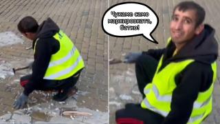 Няма пострадали павета при "терапията" с чук (видео)