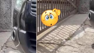 Змия изпълзя от автомобил в Сандански (видео)