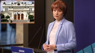 Опашка с българи, желаещи да гласуват, се изви и в Париж (снимка)