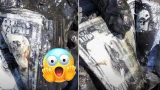 Щастливци намериха сейф със 100 000 долара в канал в Ню Йорк (видео)