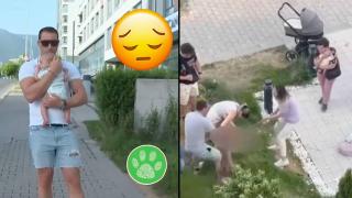 Агресивен питбул събори бебе на земята и уби малко куче в София (видео)
