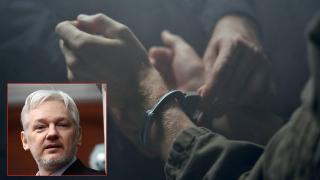 След 14 години преследване основателят на WikiLeaks Джулиан Асанж излиза на свобода (видео)