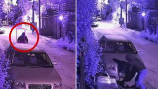 Колоездач краде наред номера на коли в София (видео)