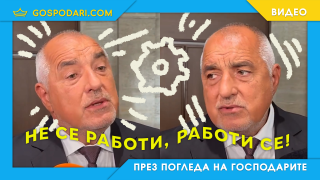 Само ГЕРБ работят, никой друг (видео)