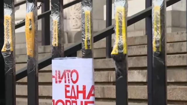 „Нито една повече”: Пореден протест в София срещу домашното насилие (видео)