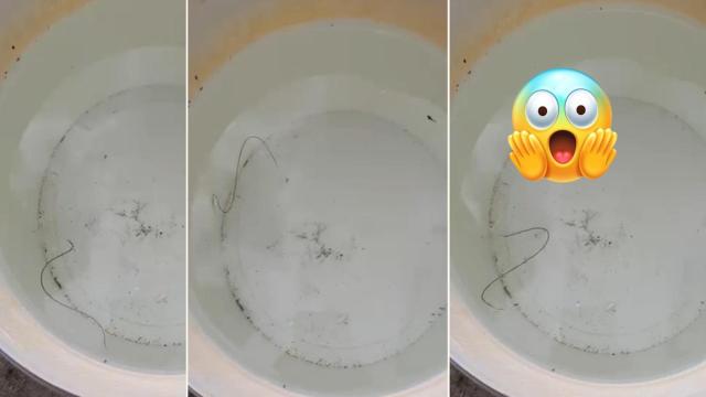 Жител на Джулюница откри опасни паразити в питейната вода (видео)