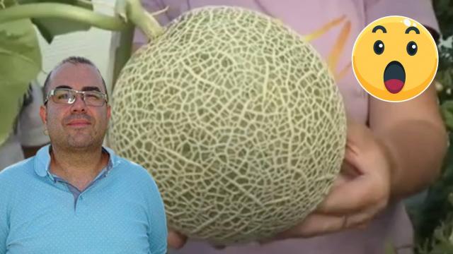 Бизнесмен от Плевен е човекът, дал 10 000 лева за пъпеш (видео)