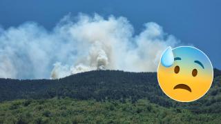 Пожарът в Гърция бушува вече 22 дни - от които 16 на наша територия (видео)