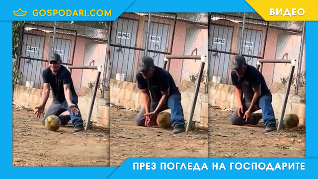 Футболни несретници (видео)
