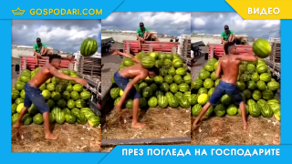 Роналдиньо на дините (видео)