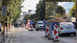 Полиция пази улица "Опълченска", на която започнаха да режат дървета (видео)