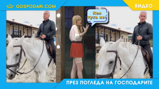 Волен Сидеров се завръща на бял кон (видео)