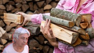 Стотици хиляди българи се нуждаят от помощ за отопление (видео)
