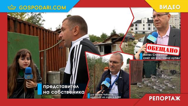 Институциите си прехвърлят топката за краваря, отглеждащ десетки животни в столичен квартал (РЕПОРТАЖ)