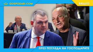 Доган: ДПС трябва да се извини заради „момчето“ (видео)