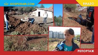 Краварят в "Овча купел" саботира опитите на собствениците да заградят земите си (РЕПОРТАЖ)