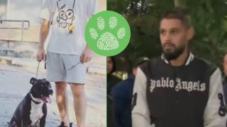 Питбул нахлу в дома на семейство с малки деца (видео)