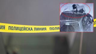Полицаят от Плевен, блъснат и возен на капака, се е държал само с пръстите си (видео)