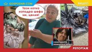 Санитарка в поликлиника изхвърли коте на няколко дни в торба за отпадъци, служителка признава и за други такива случаи (РЕПОРТАЖ)