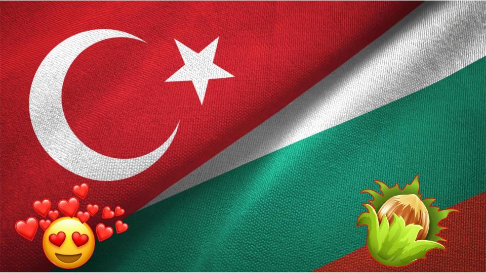 Истанбул подари орехови фиданки на опожарените български села 