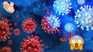 Лекари от Бургас успяха да спасят жена от "бактерия човекоядец" 