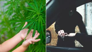 Тревожни данни: Все по-малки деца опитват наркотици, а смъртните случаи растат (видео)