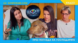 Паранормален ад с Невена Цонева в YouTube (видео)