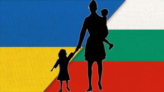 Агенцията за социално подпомагане е осъдена над 400 пъти заради украинските деца бежанци