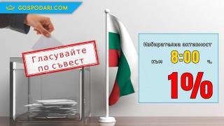 Супер ниска избирателна активност към 8:00