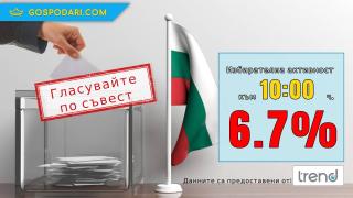 Леко покачване на избирателната активност към 10 часа 
