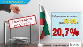 Малко над 1/5 от хората са гласували към 14:00 часа