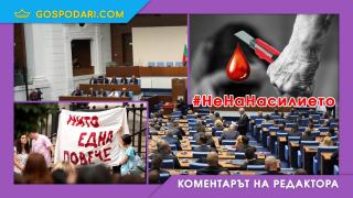 Добре дошли в държавата, в която беззаконието реже с макетен нож, а насилието е начин на изразяване (Коментарът на редактора)