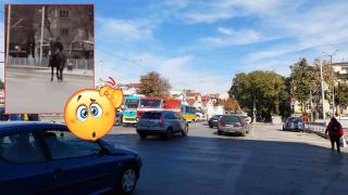 Заснеха дете да препуска на кон по оживен столичен булевард (видео)