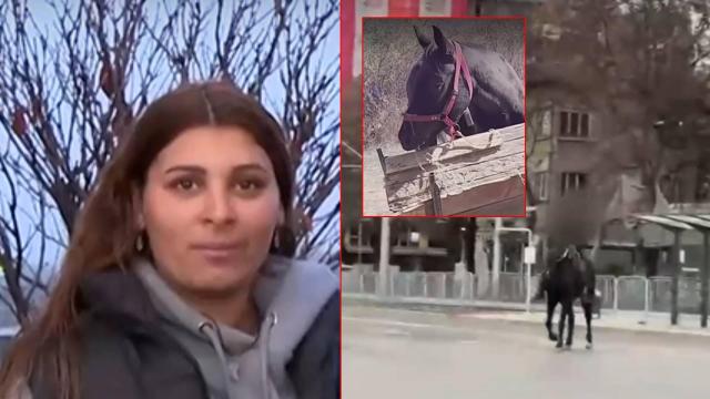 Издирват коня, язден от дете по столичен булевард (видео)