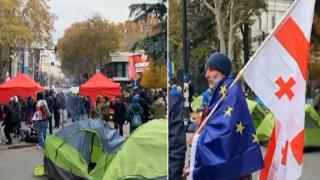 Опозицията в Грузия започна денонощни протести с искане за касиране на вота (видео)