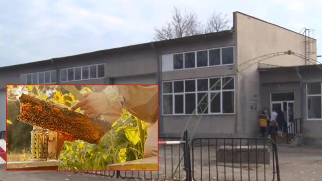 Една от малкото паралелки по пчеларство в България е заплашена от закриване (видео)